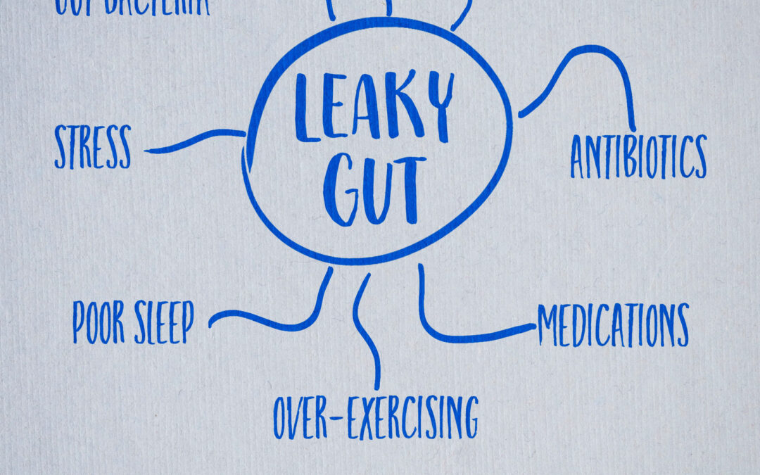 Leaky Gut Syndrome: Causes, Effects and Healing Tips